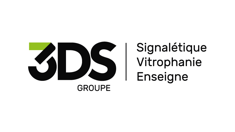 3DS GROUPE logo